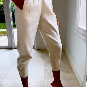 Aritzia Dexter Babaton Linen Matte Pearl Pants size Medium